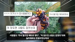 미국 생태계를 초토화 시킨 한국의 K-동식물들