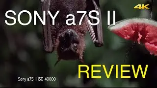 Sony a7S II Review Part 1