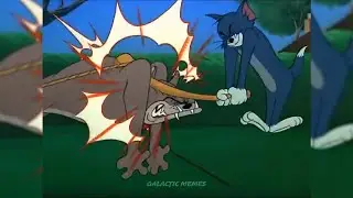 BONK (Freddie Opaul meme)
