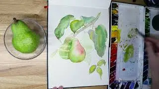 Груши акварелью по сырому для начинающих.