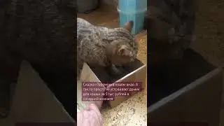 Че то не влезаю… поправилась …