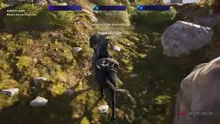 Assassin's Creed Odyssey live stream #!