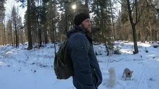 Ищем грибы в зимнем лесу. Новости из леса 29.01.2022