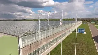 Уникальные технологии применяет Тепличный комбинат ЛипецкАгро