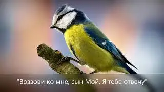 Приди