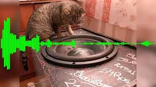 (28-44Hz) Kim Wilde - You Keep Me Hangin' On (Rebassed by Apollo Drab)