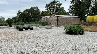 Fix Garden Boron Deficiency
