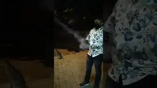 दीवाली मुबारक हो | diwali celebration 2022 #shorts