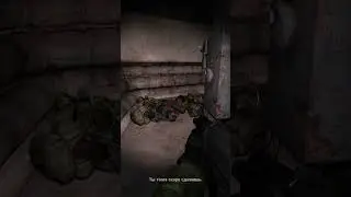 Хозяин Подземелья МНЕ УГРОЖАЕТ... True STALKER