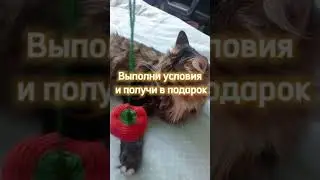 Провожу розыгрыш в ВК, ссылка в описании канала🤗