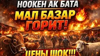 21.04.26 НООКЕН АК БАТА МАЛ БАЗАРЫ УШУНДАЙ БОЛДУ🤯🤯🤯🤯🏇🏇🏇