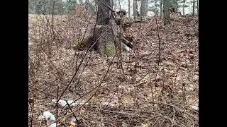 A very, very short WW2 film