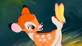 Bambino