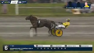 Pikkuprinssi 2024 - Weikko