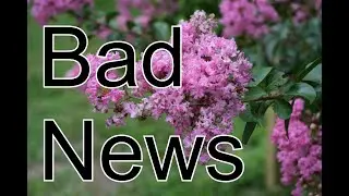 A Bit of Bad News