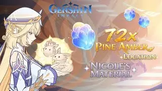 All Pine Amber Locations & Best Farming Route | Genshin Impact | Nicole's Material 