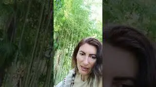 Что хотят сказать Предки??? 🤗🗝💎