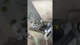 Macadamia green peel fruit color sorting/sortex/sorter machine after peeling  #colorsorter