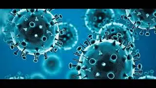 The Lions-Virus