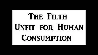 The Filth - Unfit for Human Consumption
