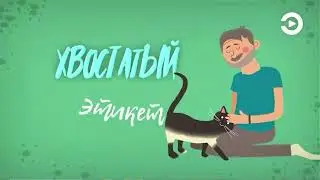 Ушки на макушке 011