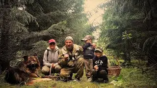 Поход За Грибами Всей Семьёй! Белые Пошли!