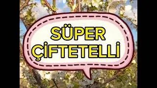 SÜPER ÇİFTETELLİ