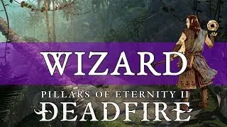 Pillars of Eternity 2 Deadfire Guide: Wizard