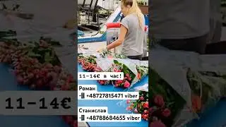 Работа в Голландии! Работа в теплицах!