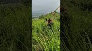 tempatnya candu banget