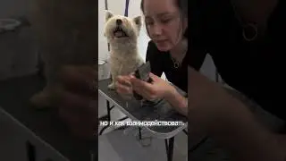 Мы предлагаем два варианта обучения: 1. Пятидневный 2. Семидневный курс с теорией и отработкой