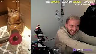 Siady na di*ku