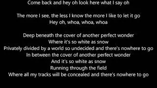 Red Hot Chili Peppers - Snow - Lyrics Scrolling