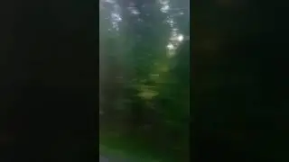 недальная дорога, #закат