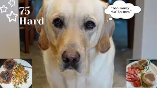 #75Hard Challenge | Did I quit already?? | week 2 updates, vlog, what I eat in a day