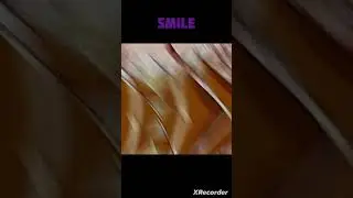 Best  Anime Smiles