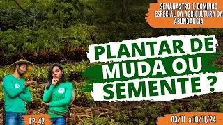 A MELHOR FORMA DE PLANTAR - Semanastro e Domingo Especial da Agricultura da Abundância - Ep.42