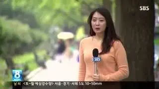 13.09.28 SBS 8시 뉴스 기자 노브라..