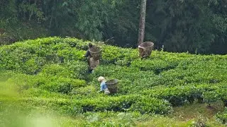 In love with Illam