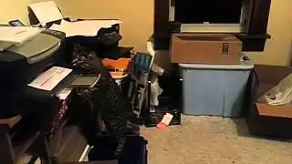 Котэ психанул