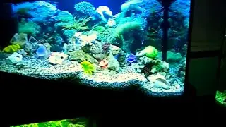 #Aquarium