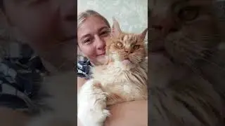 Семья кота Джокера. Наши обнимашки .Кошечка Тиффани.