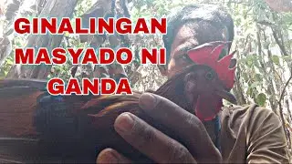 PANG LABING ISA NA HULI NI GANDA 😮