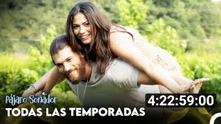 Pájaro Soñador Temporada Los Capítulos (Doblado En Español)