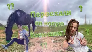 МЫ ПЕРЕЕЗЖАЕМ НА НОВУЮ КОНЮШНЮ????