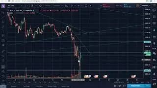 BTC Crash or Opportunity?