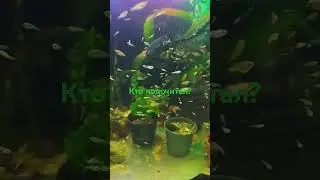А ну-ка раз-два три...🤣🤣🤣