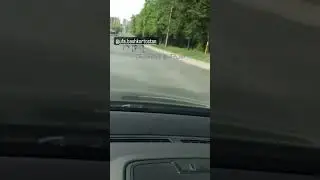 Лоси в Уфе