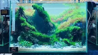 🔴 [LIVE] AQUASCAPE INDONESIA RAYA 2021 KONTES - Part 1
