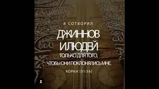 Шайх Мохьмад Бозбанчалш лелина могшал гал ялла чонна дарба муха дан деза